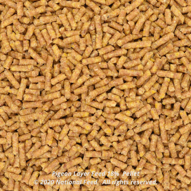 PigeonLayerFeed18Pellet1.jpg National Feed and Flour